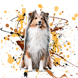 Shetland Sheepdog