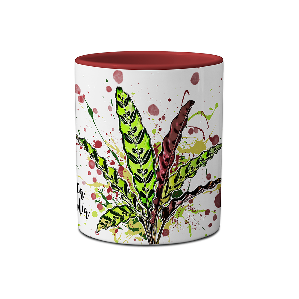 Tasse - Calathea lancifolia / Korbmarante