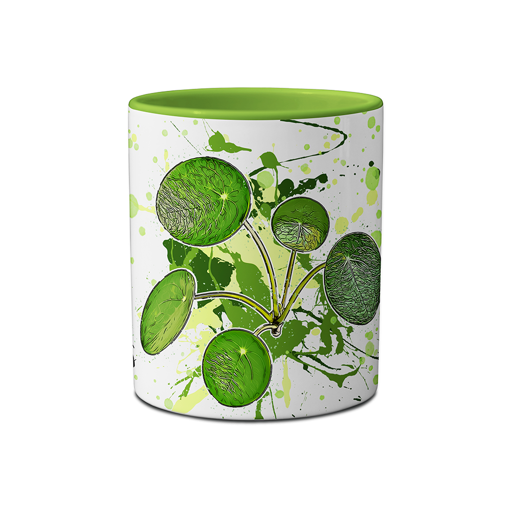 Tasse - Pilea peperomioides / Ufopflanze