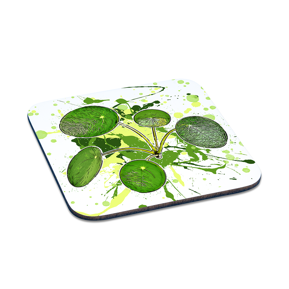 Untersetzer - Pilea peperomioi / Ufopflanze
