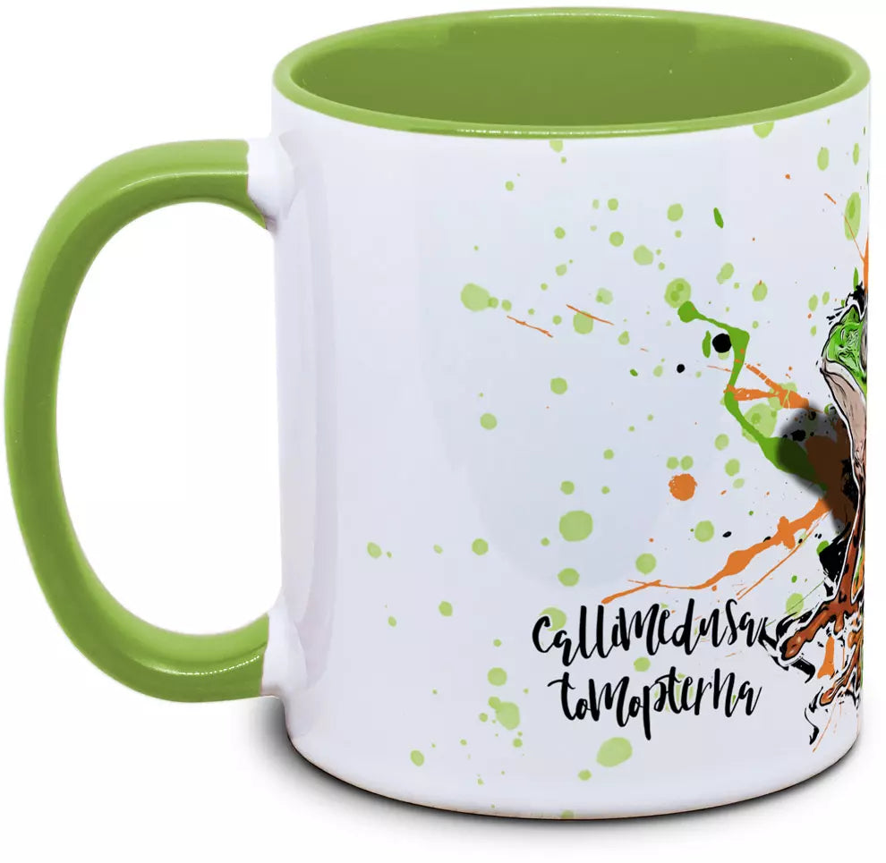 Froschtasse Callimedusa tomopterna (ehem. Phyllomedusa) - Tiger-Makifrosch
