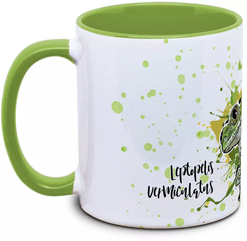 Froschtasse Leptopelis vermiculatus - Grüner Waldsteigerfrosch