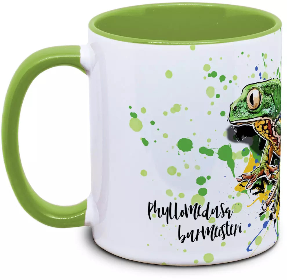 Froschtasse Phyllomedusa burmeisteri - Burmeisters Laubfrosch