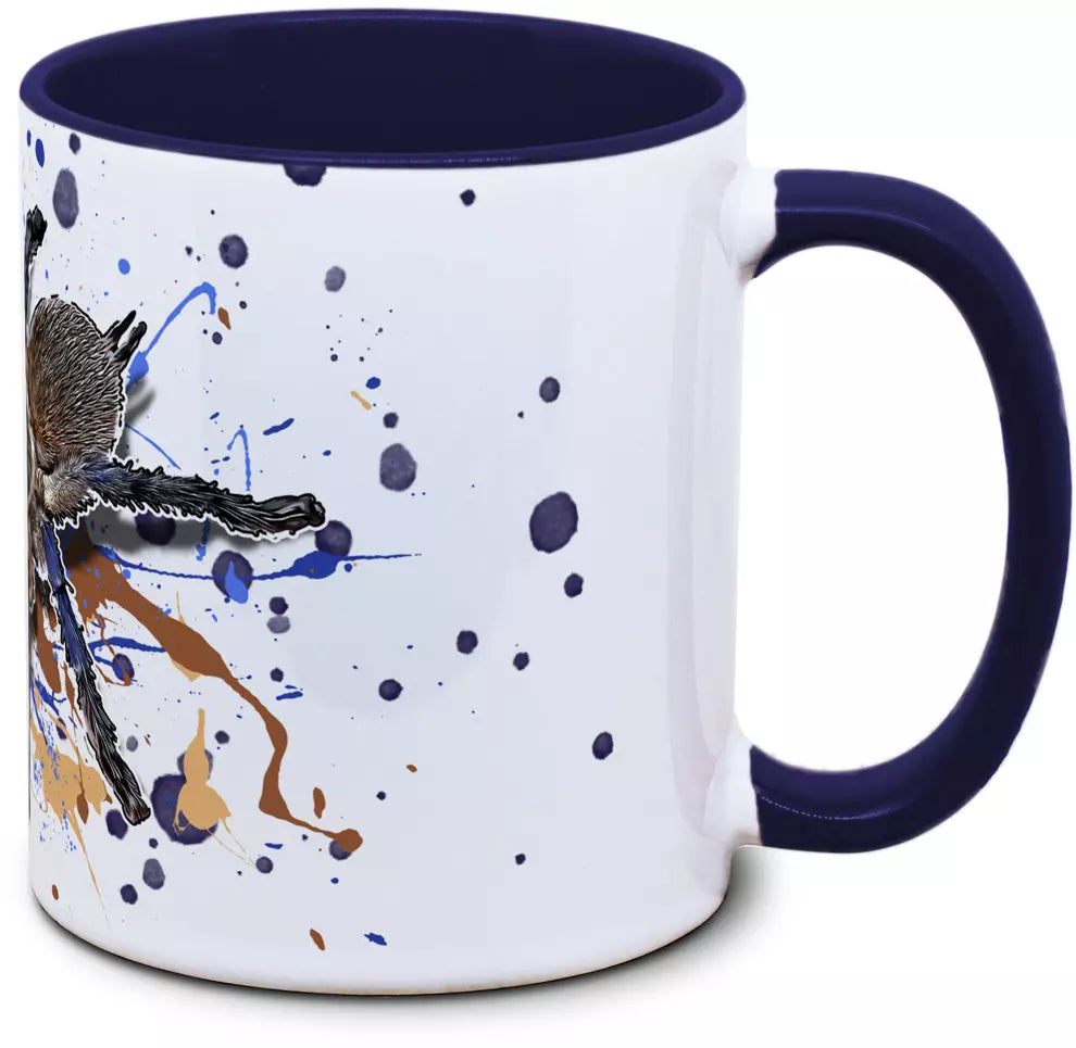 Tasse Vogelspinne Monocentropus balfouri - Blaue Jemen-Vogelspinne